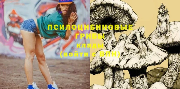 сатива Михайловск