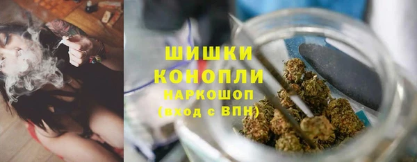 сатива Михайловск