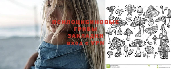 сатива Михайловск