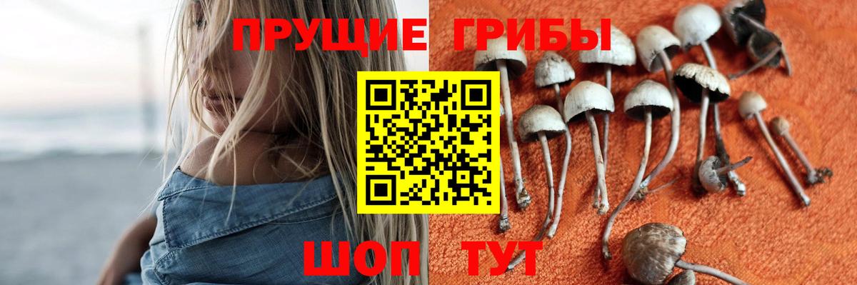 Галлюциногенные грибы Magic Shrooms Тольятти